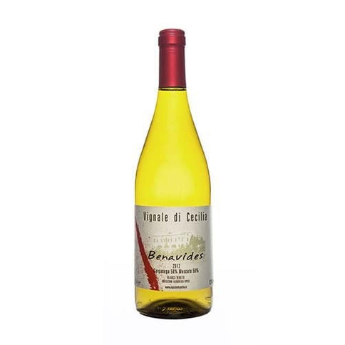 Veneto Bianco IGT "Benavides" 2023 - Vignale di Cecilia