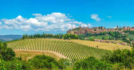 Vitigni autoctoni dell'Umbria: il Grechetto