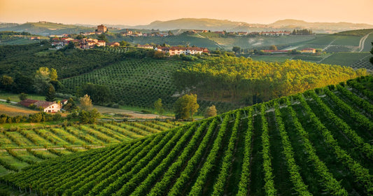 Vini del Piemonte del Nord: denominazioni e caratteristiche del territorio