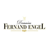 Alsace Pinot Gris Réserve 2024 - Fernand Engel