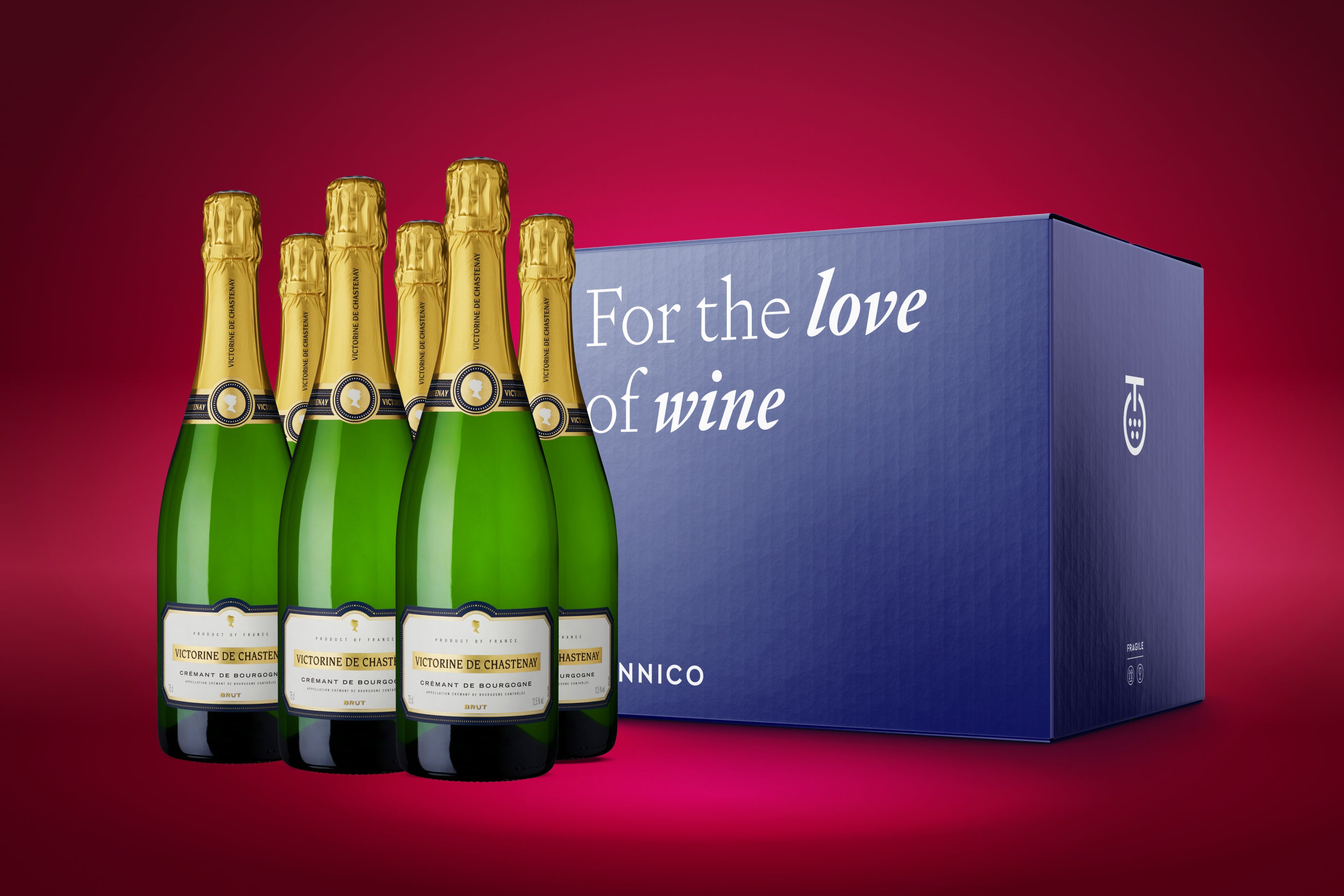 Victorine De Chastenay