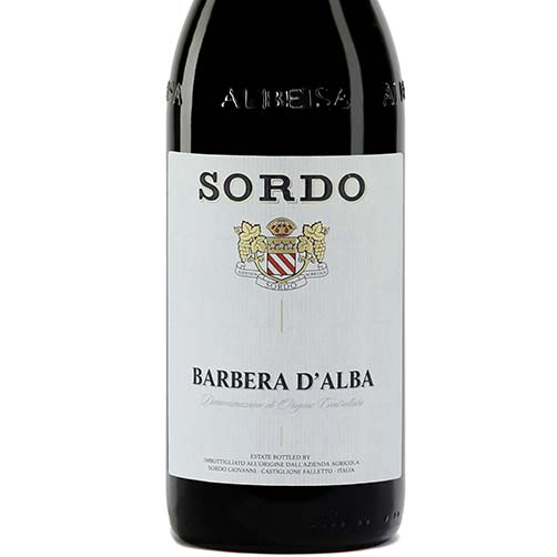 Barbera d’Alba DOC 2024 - Sordo