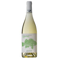 Costa Toscana Vermentino IGT "Belvento" 2025 - Petra