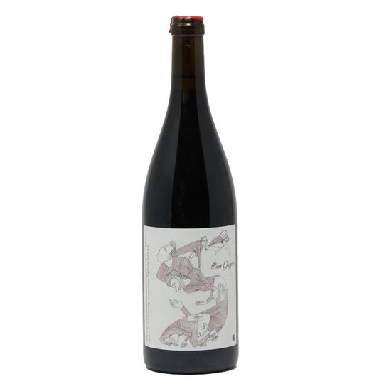 Vino Rosso "Bois Guyon" 2015 - François Saint Lô