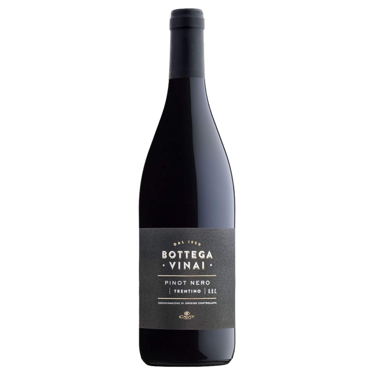 Trentino Pinot Nero DOC 2021 - Bottega Vinai