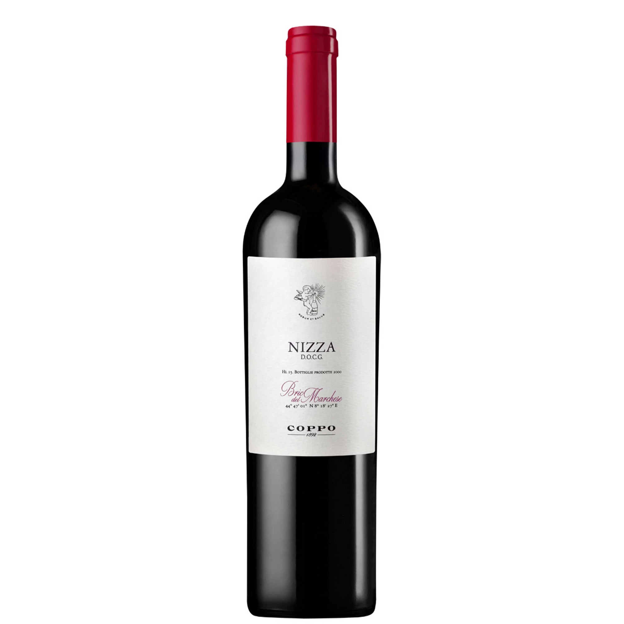Nizza DOCG "Bric del Marchese" 2019 - Coppo