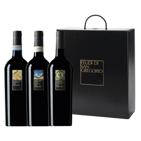 Irpinia Aglianico DOC “Rubrato” 2021 - Feudi di San Gregorio