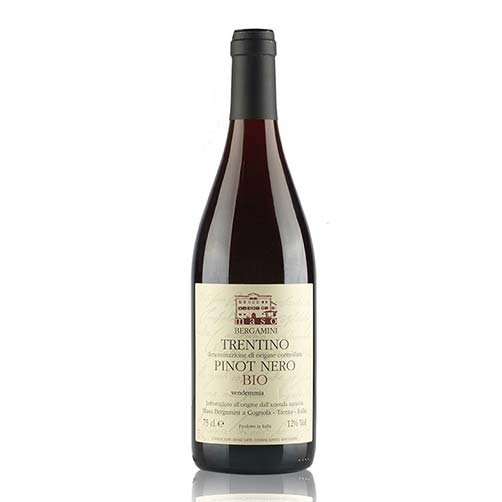 Trentino Pinot Nero DOC 2024 - Maso Bergamini