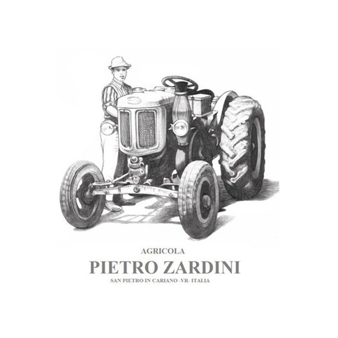 Amarone della Valpolicella DOC "Pietro Junior" 2019 - Pietro Zardini