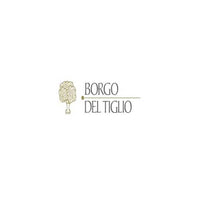 Collio Friulano DOC 2021 - Borgo del Tiglio