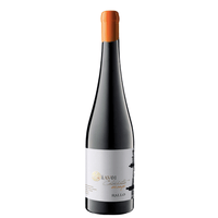 Terre Siciliane IGP "AV01" 2025 - Rallo