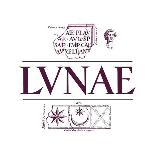 Colli di Luni Vermentino DOC "Etichetta Grigia" 2022 - Lunae