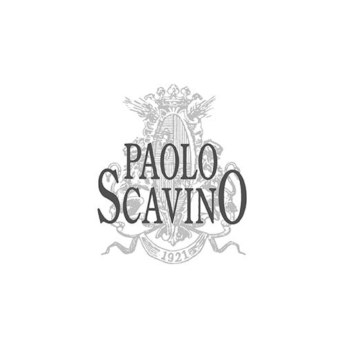 Barbera d'Alba DOC 2024 - Paolo Scavino