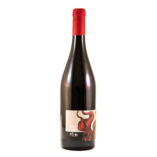 Colli Tortonesi Barbera Superiore DOC 2022 - Oltretorrente