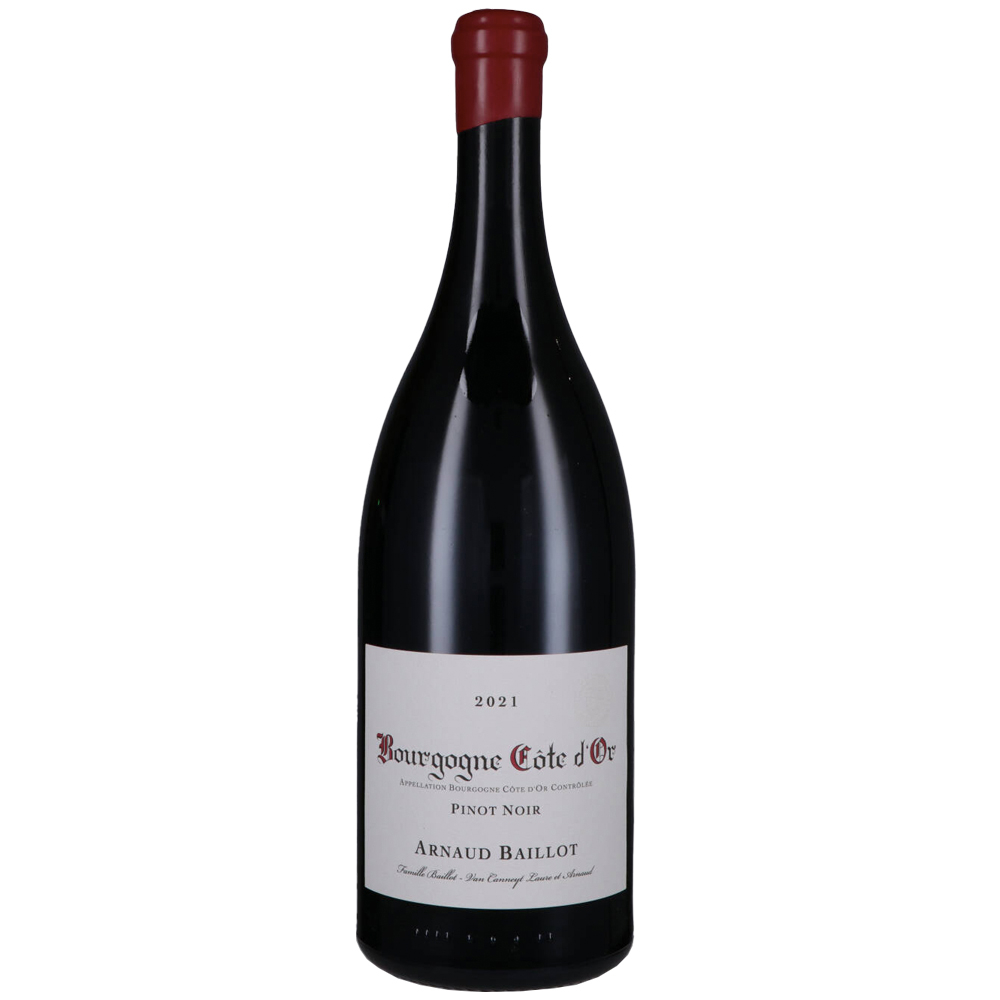 Bourgogne Côte Dor Rouge Aoc 2021 Magnum 118925 FR Tannico